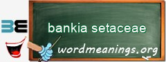 WordMeaning blackboard for bankia setaceae